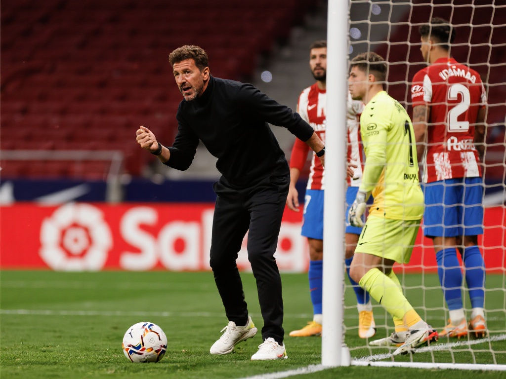 无论是球迷 无论是球迷